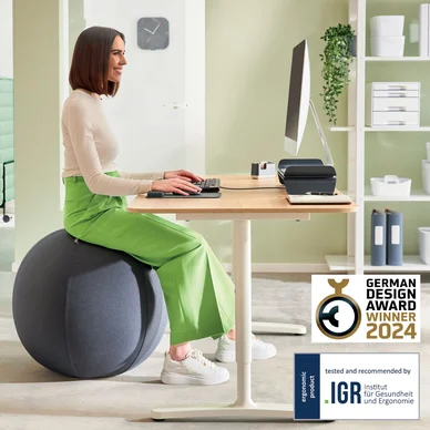 Leitz Ergo Active Sittboll med stoppfunktion 65cm mörkgrå Leitz Ergo Active Sittboll med stoppfunktion 65cm mörkgrå