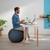 Leitz Ergo Aktiv Sittboll Cosy, grå