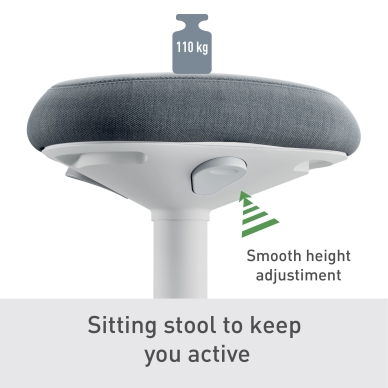 Leitz Ergo Active Sittpall ljusgrå
