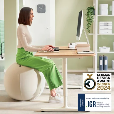 Leitz Ergo Active Sittboll med stoppfunktion 65cm ljusgrå Leitz Ergo Active Sittboll med stoppfunktion 65cm ljusgrå